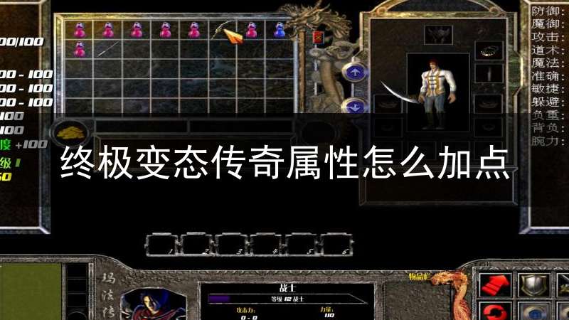 终极变态传奇属性怎么加点(终极变态传奇属性怎么加点好)