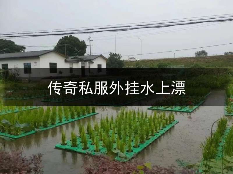 传奇私服外挂水上漂(传奇飘逸挂开挂顺序)